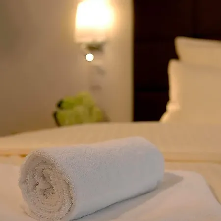 Hotel-restaurant Sebastianushof فندق
