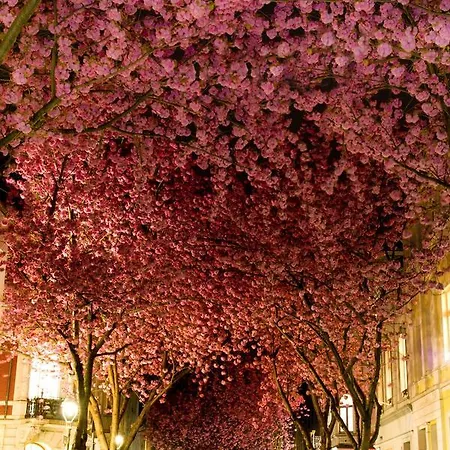 Otel Hotel-restaurant Sebastianushof Bonn