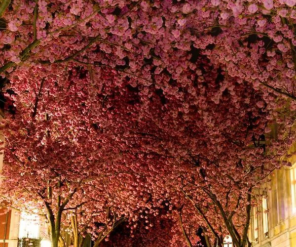 Szálloda Hotel-restaurant Sebastianushof Bonn